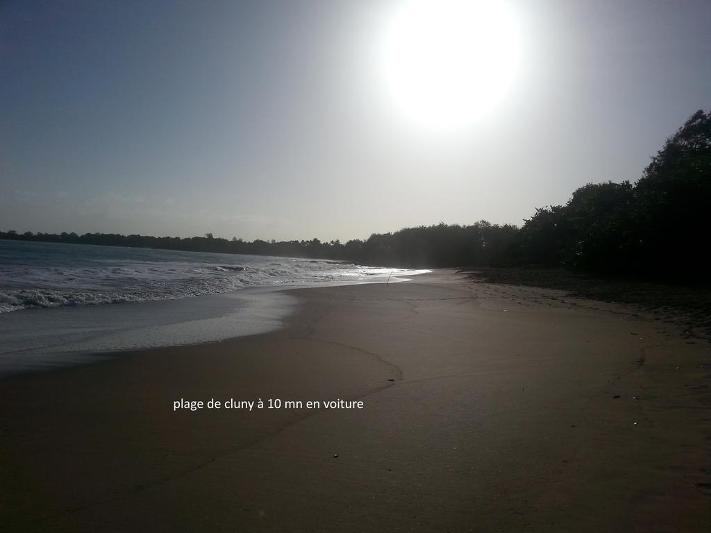 Gites De L'Ecomusee Creole Sainte-Rose Esterno foto